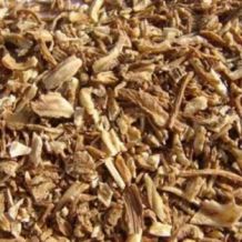Angelica sinensis wortel | Tang Kuei of Dang Gui